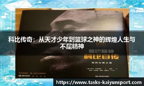 开云体育官网